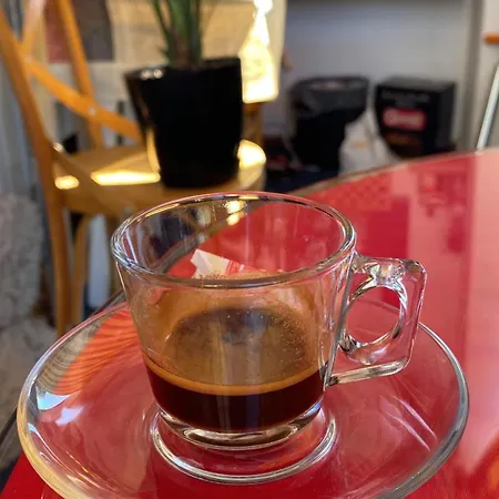 Maison D'artiste Tirana